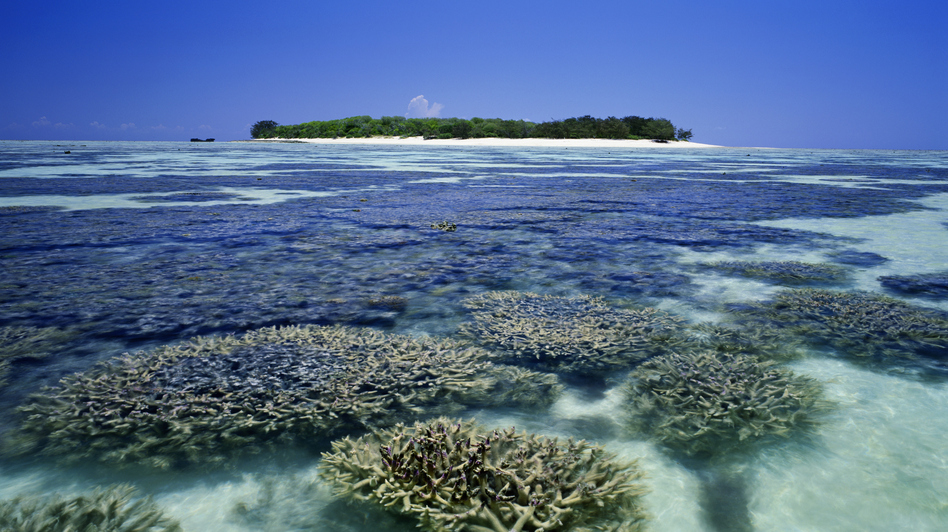 Heron Island Heron Island is located on the southern end of the Great Barrier Reef, about 25 miles off the northeast coast of Australia. Ted Mead/Getty Images