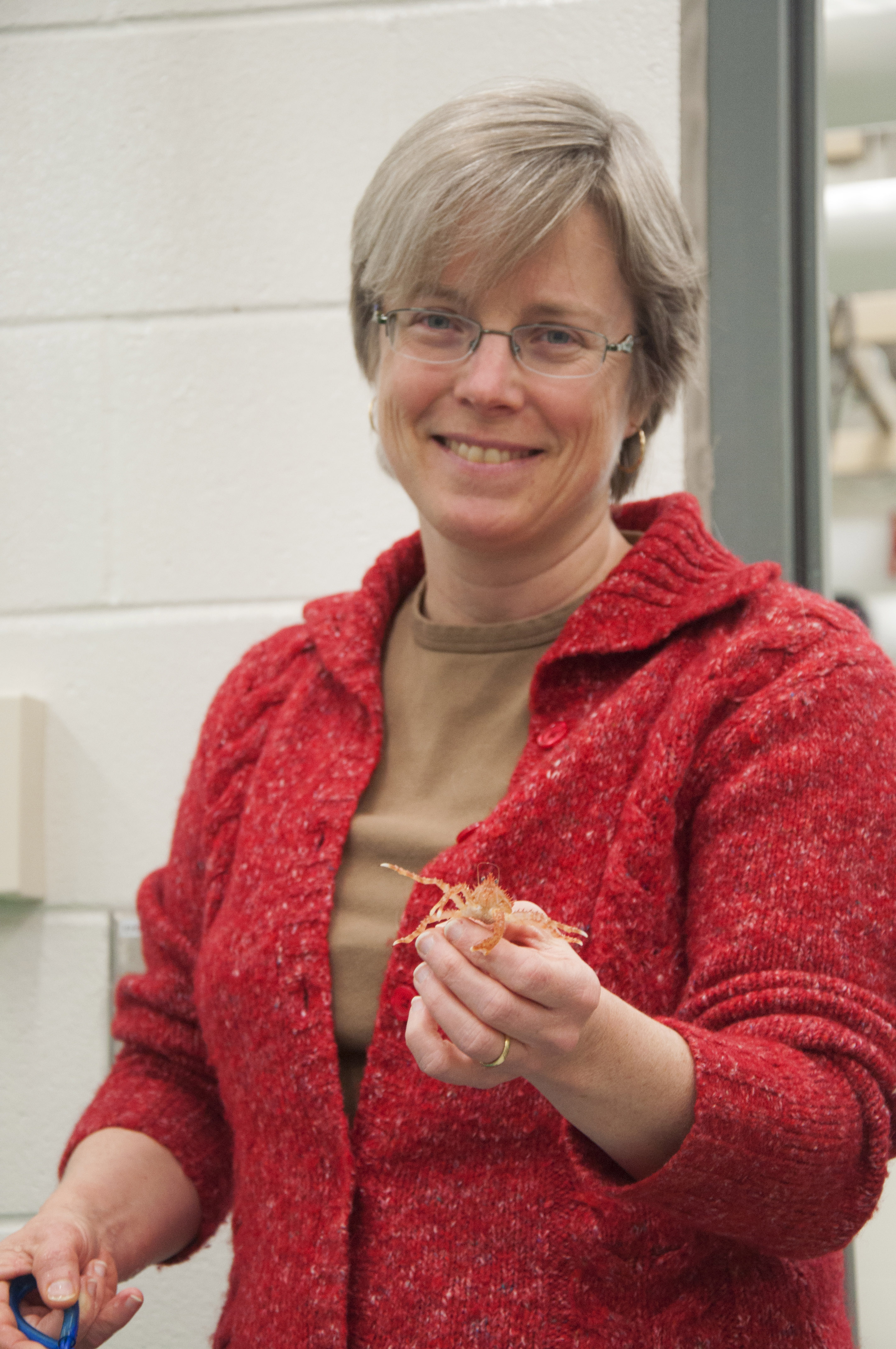 UAF marine biologist Ginny Eckert displays one of her research subjects, a juvenile red king crab. UAF marine biologist Ginny Eckert displays one of her research subjects, a juvenile red king crab.
