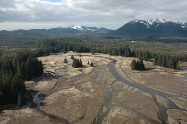 Castle River