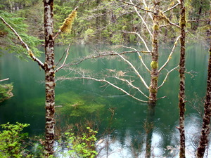 Little_Redoubt_Lake_300