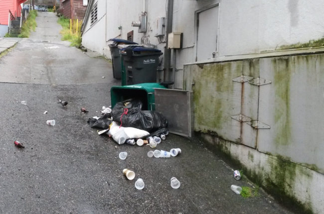 Trash can raided by a bear