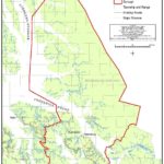 Petersburg Proposed Borough Map