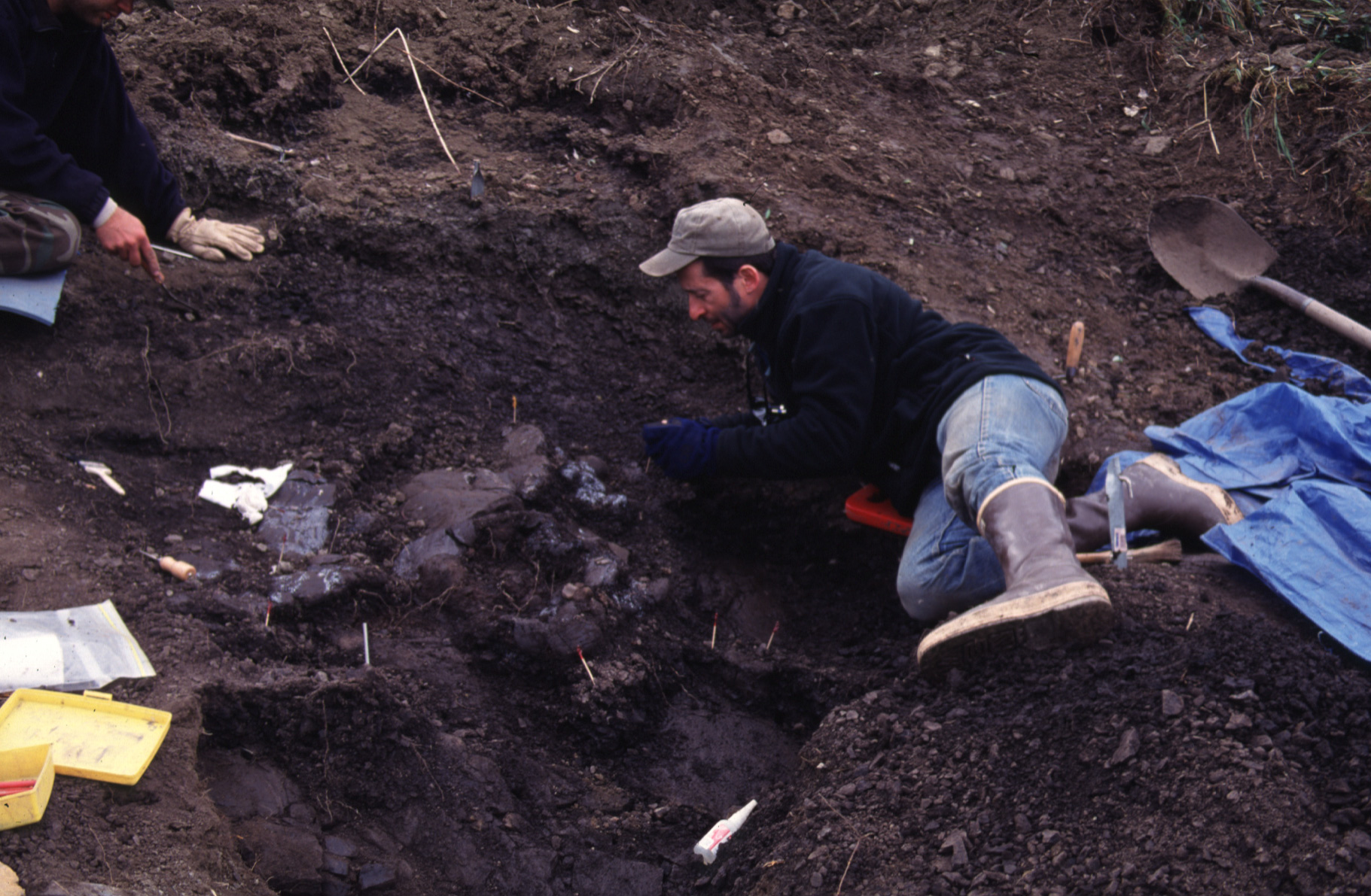 Tony Fiorillo on the North Slope of Alaska, where he discovered a pygmy tyrannosaur. (Photo courtesy Tony Fiorillo)