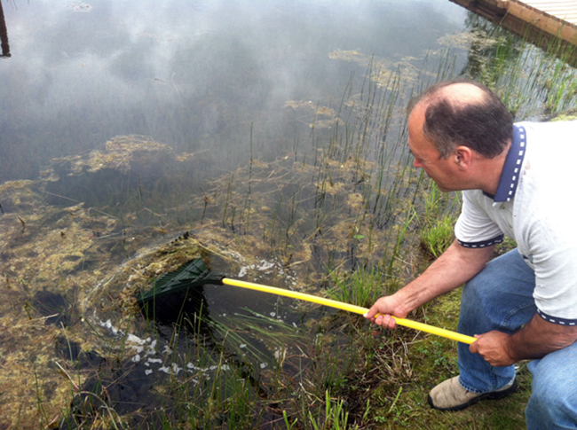 Tim Ridle scrapes Elodea out of Anchorage’s Sand Lake. Elodea is one of many invasive species that may be more common as the climate in Alaska warms. (Photo by Joaquin Palomino/APRN)