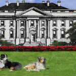WhiteHouseGaWy_650x360