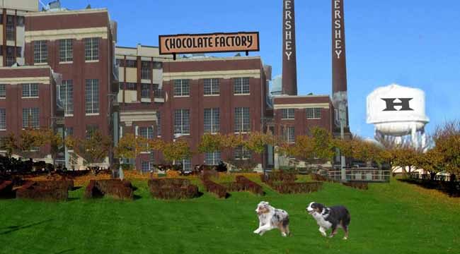 Hershey.GaWy2_650x360