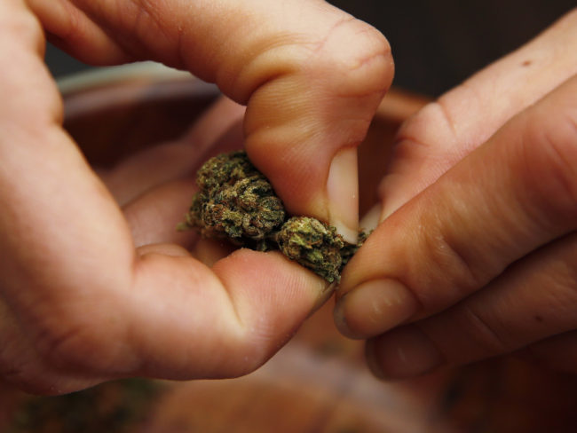A user prepares to roll a marijuana cigarette on the first day of legal possession of marijuana for recreational purposes in the District of Colombia on Thursday. Alex Brandon/AP 
