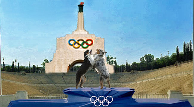 OlympiadGaWy2_650x360