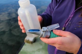 Esther Kennedy of the Resource Protection Department collects water samples every week from Starrigavan.