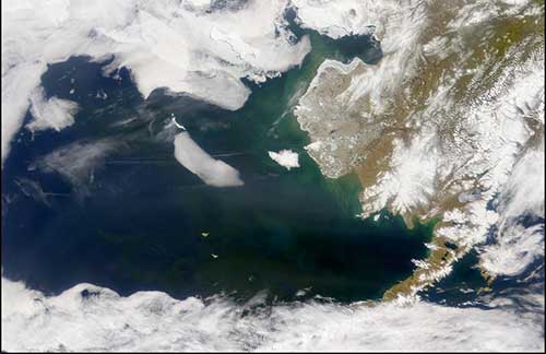 Sea ice extent during warm years (2002- 05). Actual image is from May 2002. (Image courtesy NOAA Fisheries)
