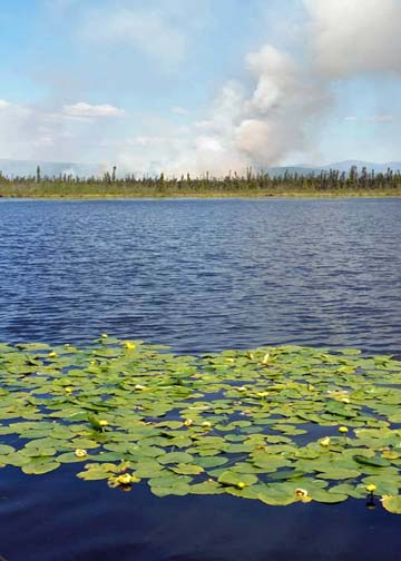 Smoke rises from the Tanana Slough Fire burning northwest of the community of Dot Lake on Monday. (Photob by Don York/Alaska Division of Forestry)