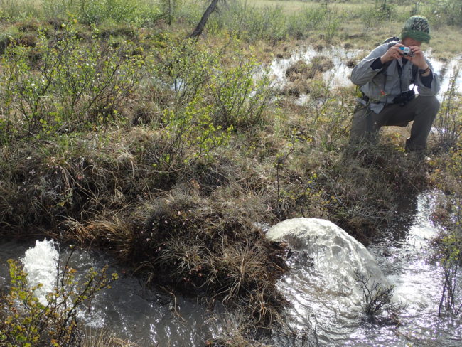 Wilderness guide Garrett Jones takes a photo of water fountaining from the tundra near the middle fork of the Chandalar River.  (Photo by Ned Rozell)