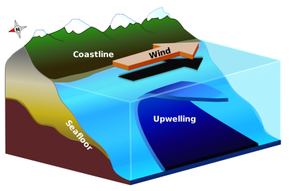 Diagram of upwelling. (Image courtesy of NOAA)