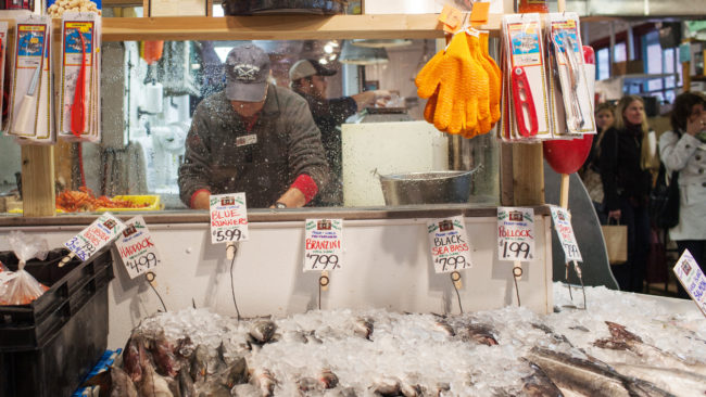Sea bass, pollock, striped bass and other fish species are seen for sale at the Harbor Fish Market in Portland, Maine. Ryan Kellman for NPR