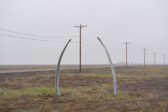 Whalebones welcome visitors to Point Hope. (Photo by Mitch Borden/KNOM)