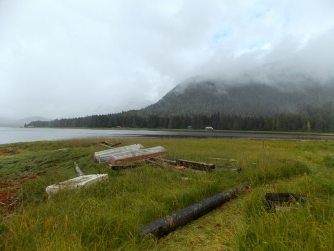 The view over to Kupreanof from Sharon Sprague’s house on Sasby Island. (Photo by Joe Sykes/KFSK)
