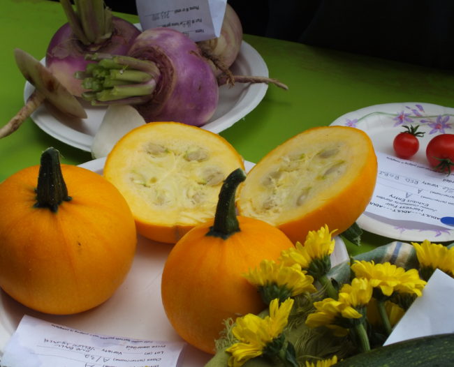 Mini pumpkins. (Photo by Matt Miller/KTOO)
