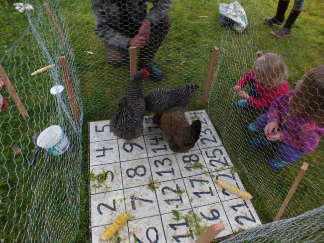 Chicken bingo. (Photo by Matt Miller/KTOO)