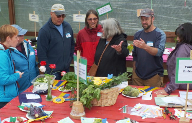 Judges debate criteria and potential awards for one entry. (Photo by Matt Miller/KTOO)