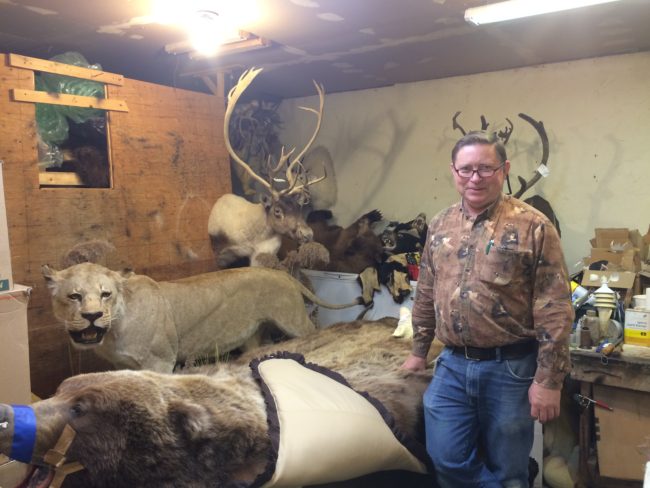 Larry Golden taxidermist