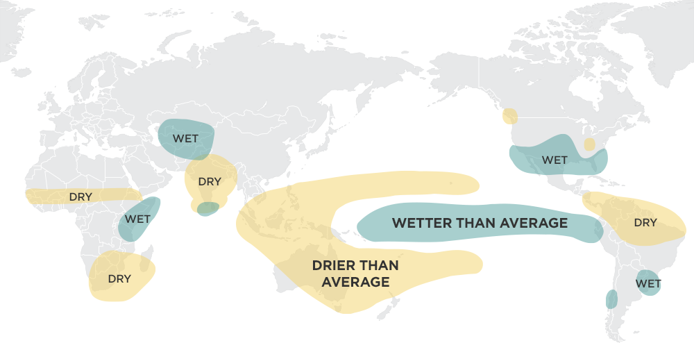 Source: Ropelewski, C.F., and M. S. Halpert, 1987: Global and regional scale precipitation patterns associated with the El Niño Southern Oscillation. Mon. Wea. Rev., 115, 1606-1626; Mason and Goddard, 2001. Probabilistic precipitation anomalies associated with ENSO. Bull. Am. Meteorol. Soc. 82, 619-638 Credit: International Research Institute for Climate and Society, The Earth Institute, Columbia University (http://iri.columbia.edu/enso/); NPR