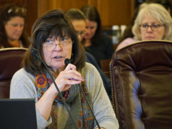 Deputy Commissioner of the Dept. of Natural Resources, Marty Rutherford, gives an overview of the Alaska Liquefied Natural Gas Project in House Finance, Feb. 23, 2016. (Photo by Skip Gray/360 North)