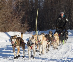 Dallas Seavey, pictured here in Galena, is racing his father Mitch for the Iditarod title. (Photo by Zach Hughes/KSKA)