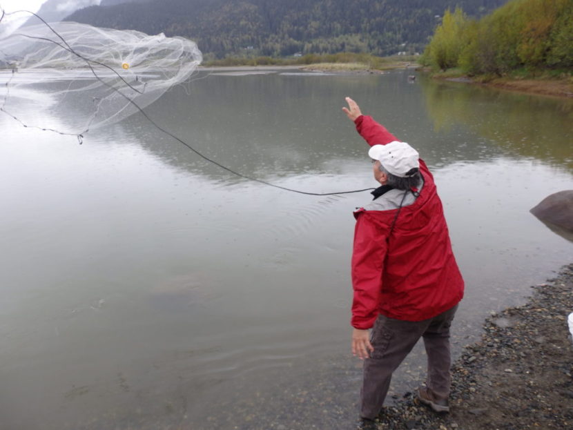 Sonny Williams tosses out his net. (Photo by Emily Files/KHNS)