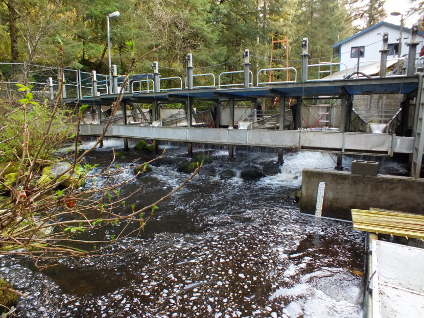 Downstream view of the fish counting weir at Auke Creek that is located north of downtown Juneau