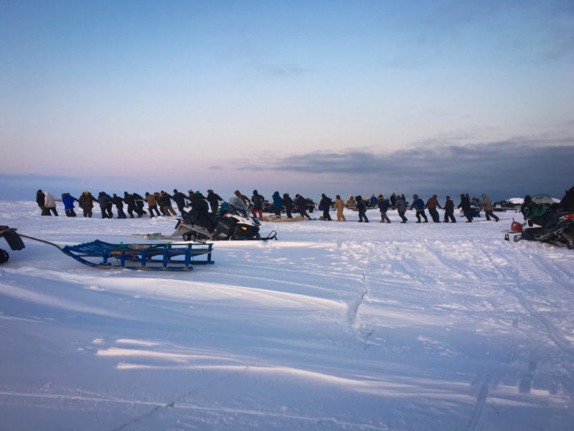 People pulling the whale out of the icy waters on the south side of St. Lawrence Island. (Photo courtesy of Brianne Gologergen)