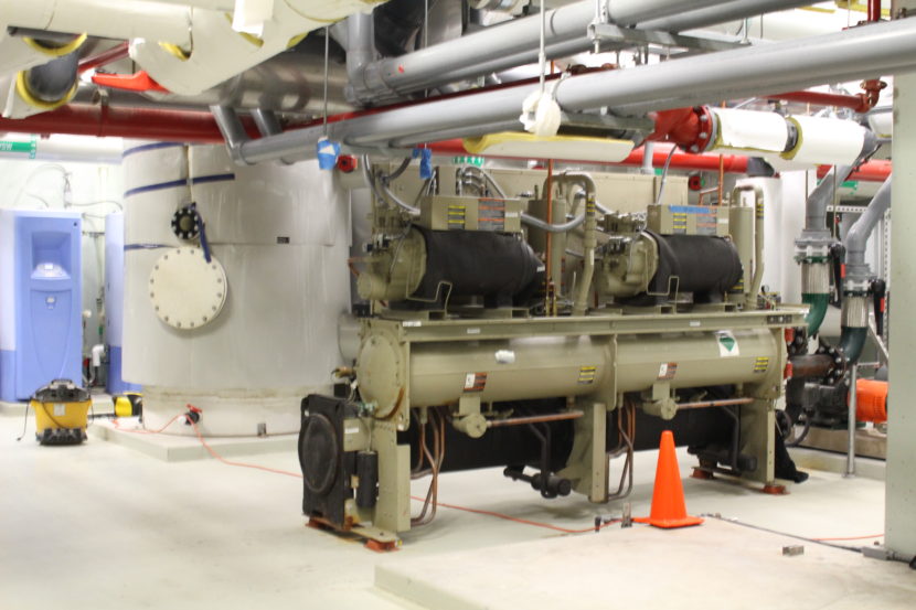 Inside the basement in Ted Stevens 