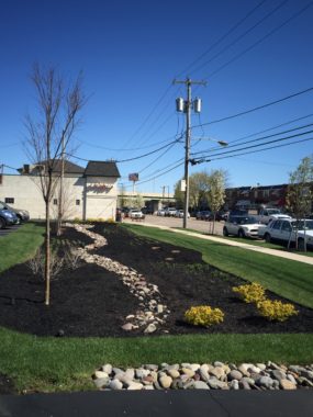 Poppi's Restaurant parking lot with the new rain garden that helps reduce runoff. Susan Phillips/WHYYPoppi's Restaurant parking lot with the new rain garden that helps reduce runoff. Susan Phillips/WHYY