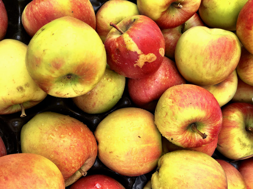 Unsightly scars on the outside of fruit might reflect higher nutrition within. Daniela White Images/Getty Images