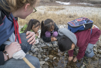 Kids searching for beetles and bugs outside the school.