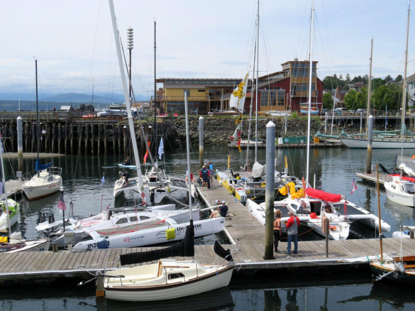 A trimaran in the 25 to 34-foot range is the preferred choice of many of the most competitive sailors in this year's Race to Alaska. Team Mail Order Bride, Team Un-Cruise Adventures and Team Bad Kitty are among those seen here. (Photo by Tom Banse/Northwest News Network)