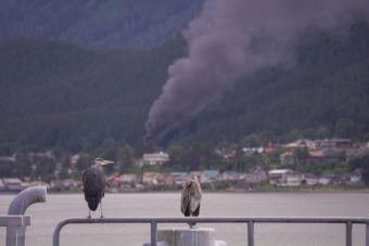 2016 06 07 Douglas Fire from afar with birds