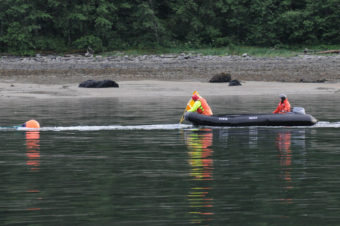 NOAA team tries to remove anchor line from entangled humpback whale.