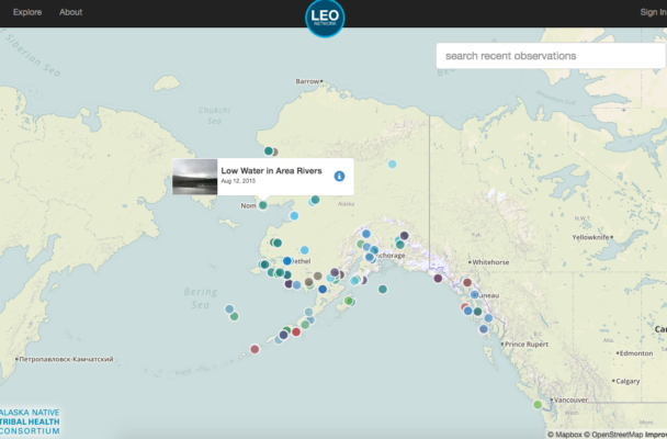 Screenshot of observations from the LEO Network. (Image courtesy of Mike Brubaker)