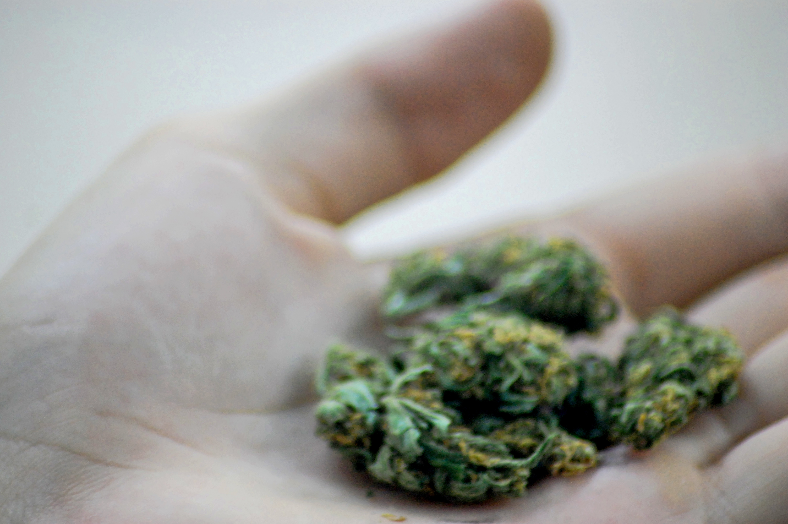 Marijuana Control Board Chair under fire for initiative to ban commercial pot on Kenai Peninsula