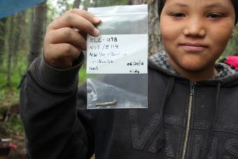 Cordelle Balluta-Trefon holds up a square-sided nail, another clue as to when this house was inhabited. (Photo by Hannah Colton, KDLG – Dillingham)