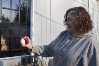 Bobbi Daniels grew up in farm country in Indiana. She’s bringing her agricultural knowledge to Sitka, operating the Sawmill Farm since 2001. (Emily Kwong, KCAW – Sitka)