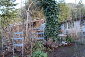 Daniels oversees the ducks. She’s awaiting an order of pigs from Washington, set to arrive in August. In five years, she hopes to secure a USDA processing facility to sell local pork. (Emily Kwong, KCAW – Sitka)
