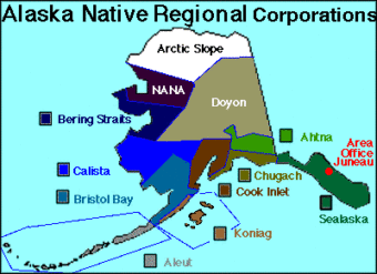 Alaska Native Regional Corporations Map. (Courtesy of the Department of Natural Resources)