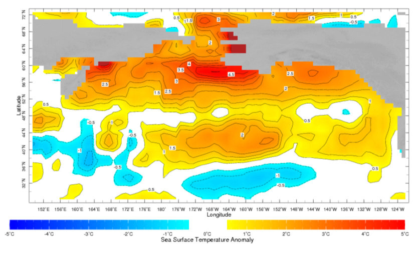 Sea surface temperature observations in late July 2016 show higher-than-normal temperatures lingering in the North Pacific and Bering Sea.