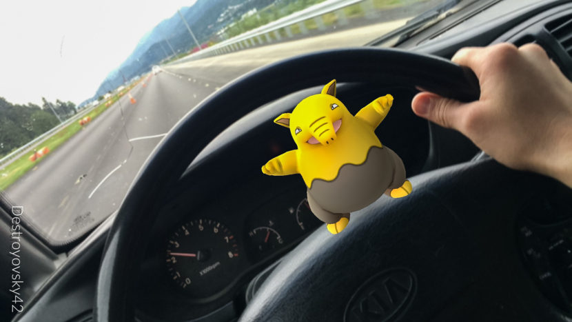 A Drowzee on the road in Juneau. (Photo by Rashah McChesney/KTOO)