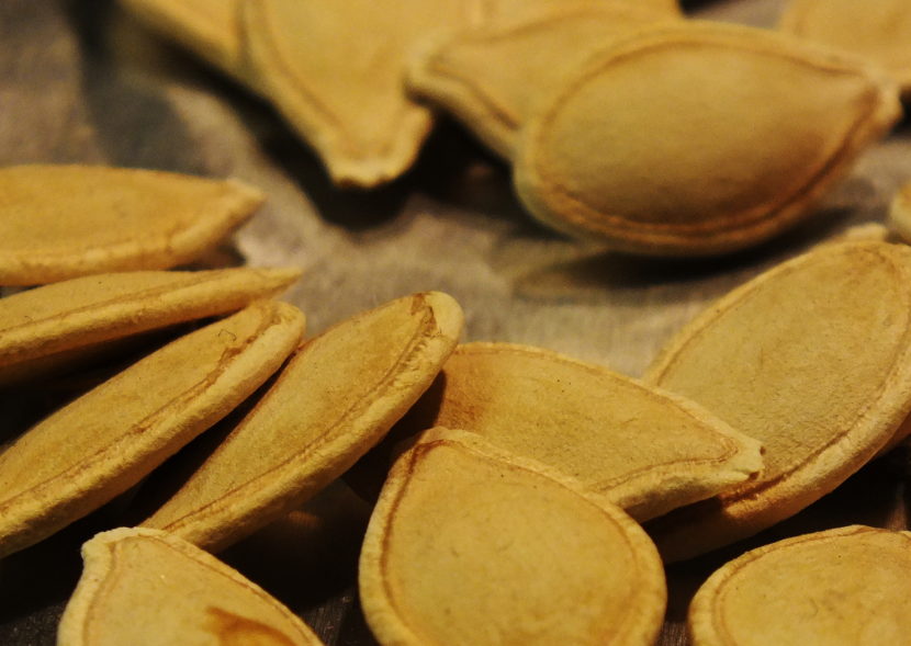 A few of these sugar pumpkin seeds saved from last fall will likely become next fall's pie or stout homebrew.