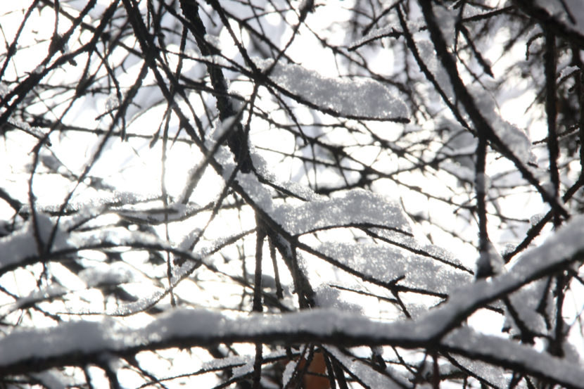 The first snow of the year in Anchorage, Oct. 21, 2016. (Photo by Rachel Waldholz/Alaska's Energy Desk)