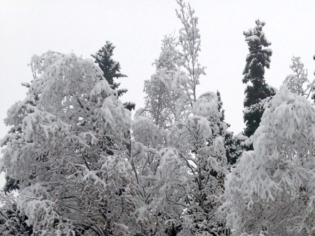 Anchorage was blanketed in snow on Oct. 21st, 2016. (Photo by Elizabeth Harball/Alaska's Energy Desk)