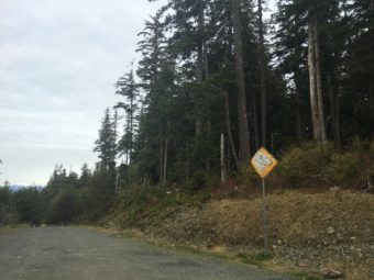 This "End" sign is worse for the wear after being shot by numerous visitors to the end of Glacier Highway. Oct. 4, 2016. (Photo by Andrew Kitchenman/KTOO)