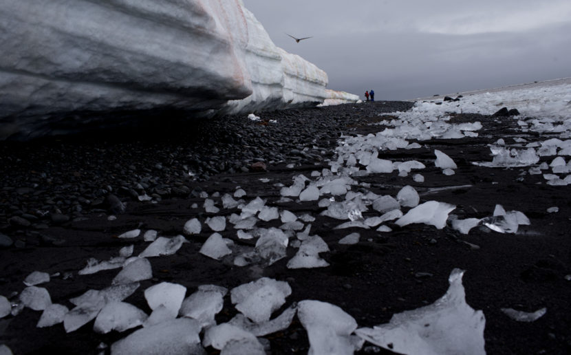 Pieces of thawing ice are scattered along the beachshore at Punta Hanna, Livingston Island, Antarctica. Natacha Pisarenko/AP